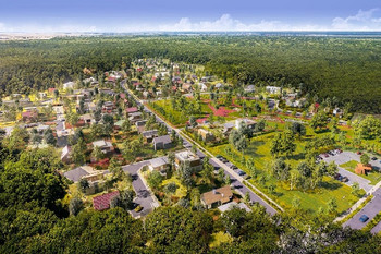 Dumbrava Vlasiei Teaser  2 