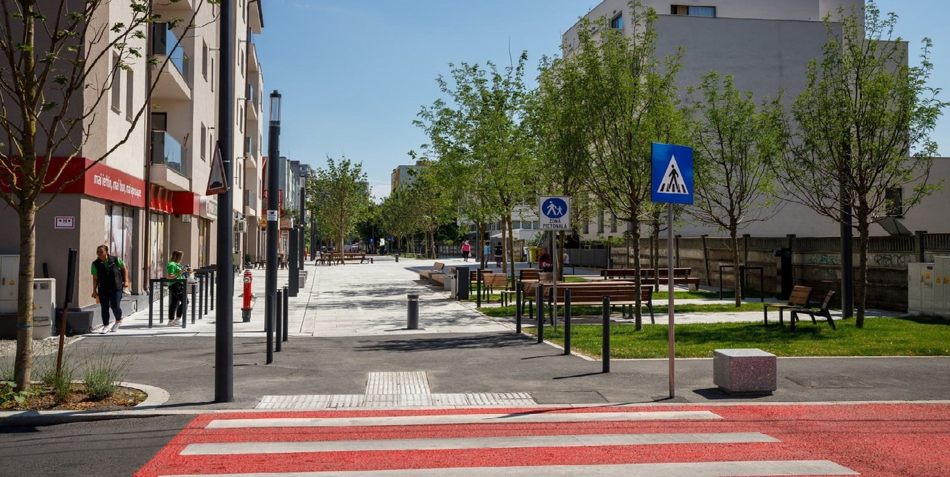 Molnar Piuariu Cover Photo