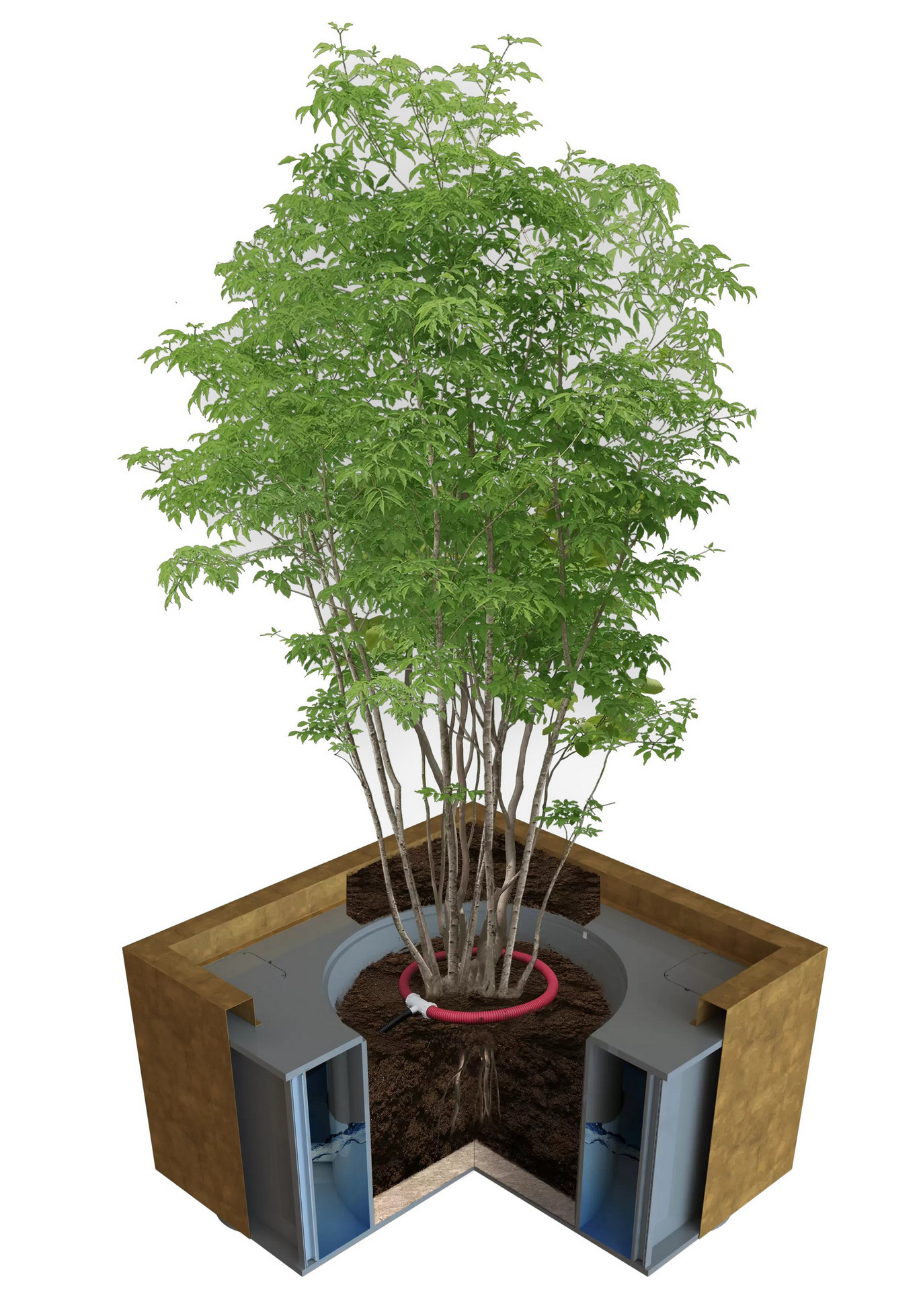 Rendering-climateboxx