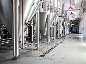 Beraria Grivita Teaser