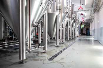 Beraria Grivita Teaser