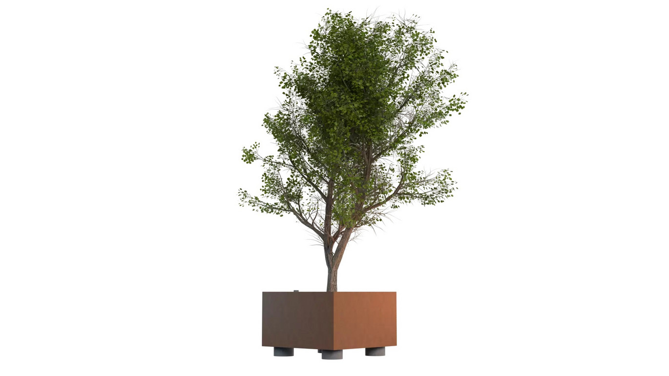 ACO Climateboxx Arbore Cu Coroana 4
