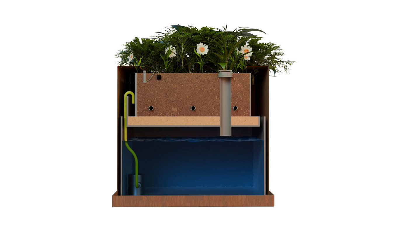 ACO Climateboxx Plante 002
